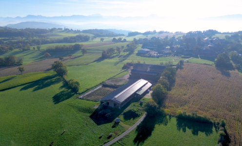 Vaches en Piste Magazine | Episode 4