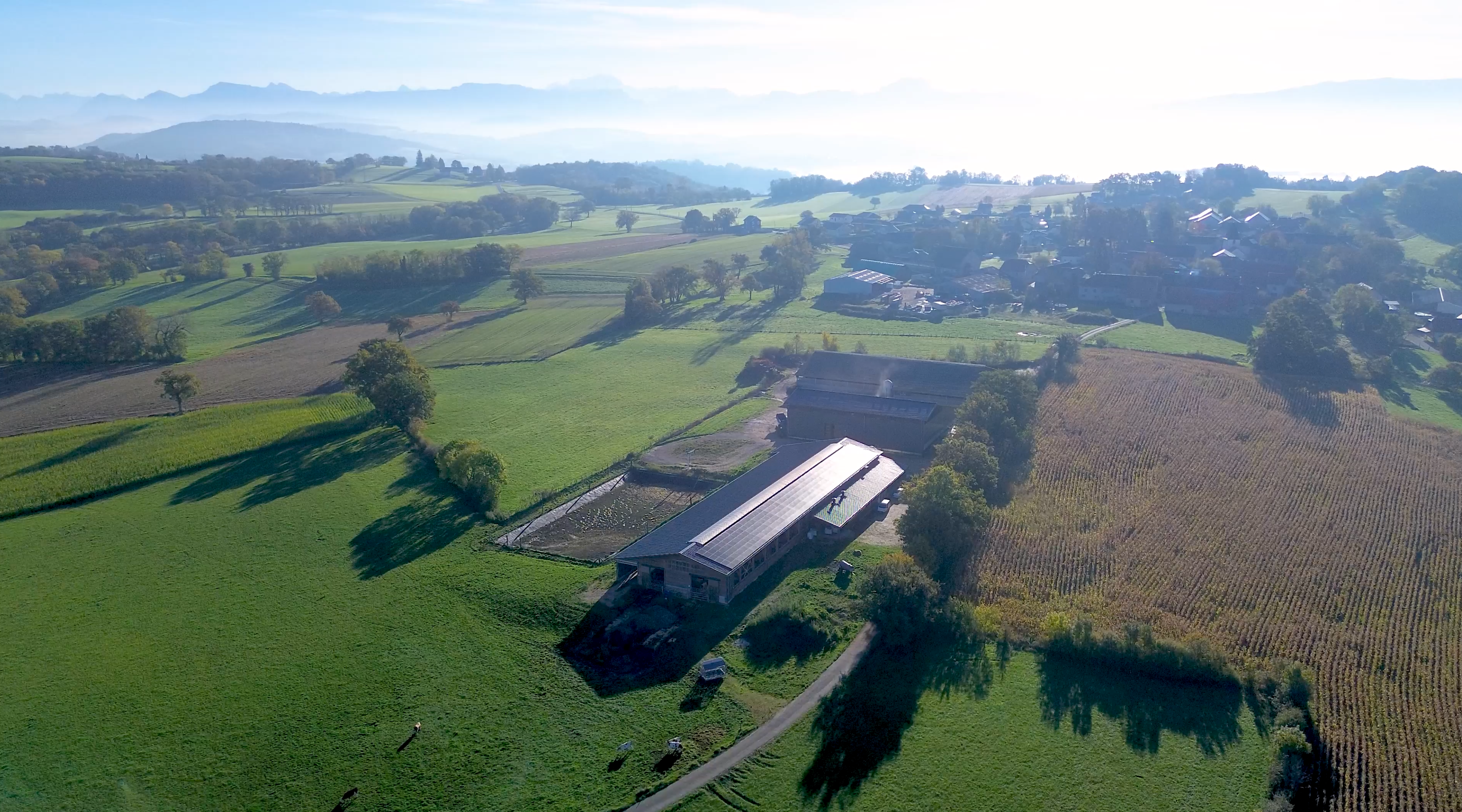 Vaches en Piste Magazine | Episode 4