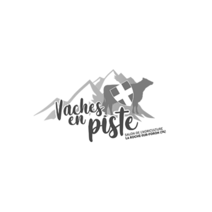 Vaches en Piste