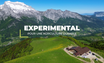 Expérimental