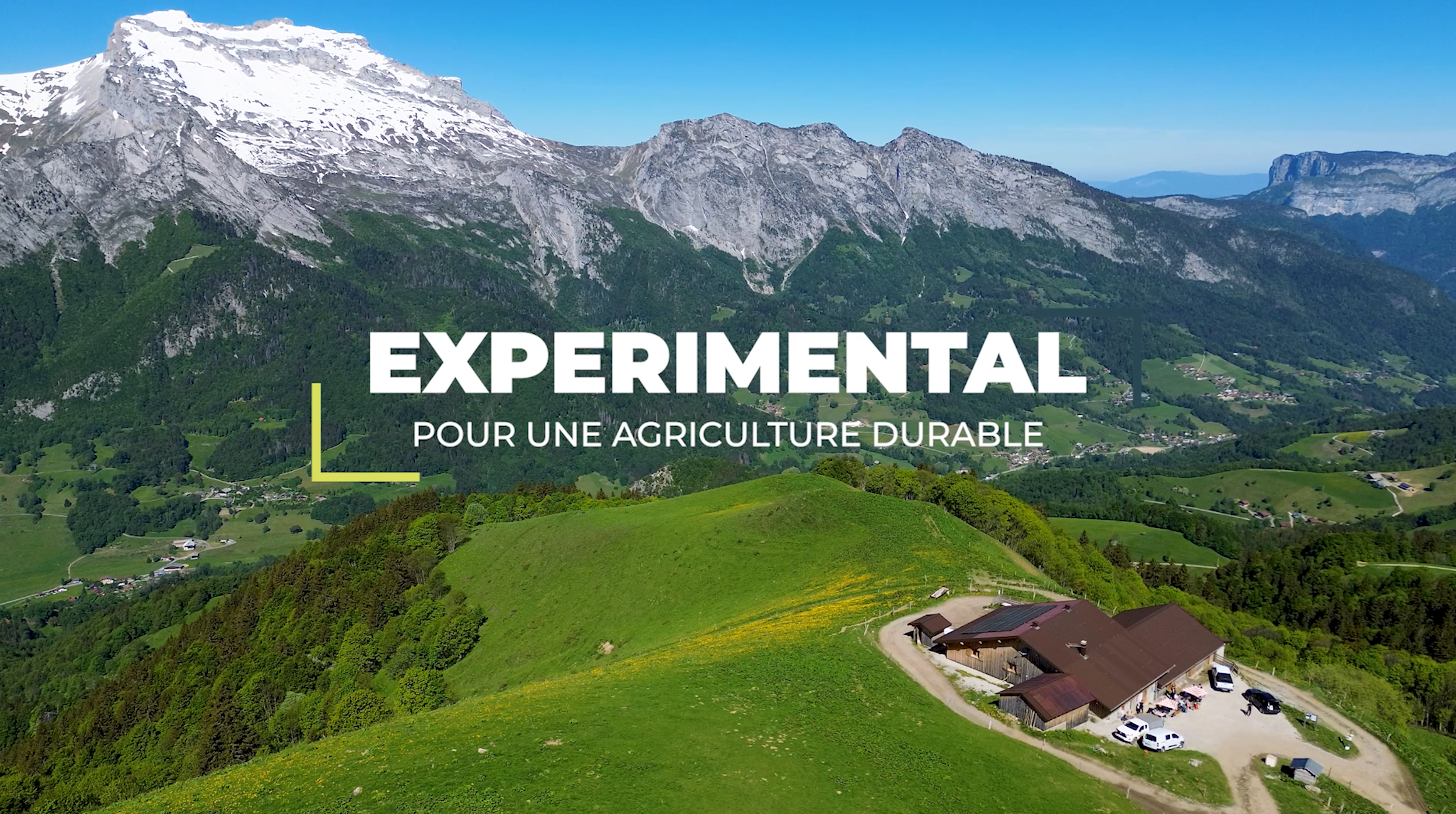 EXPERIMENTAL